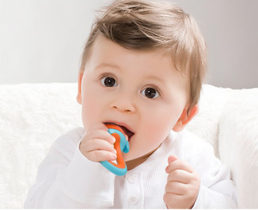 Need help transitioning from breastfeeding to solid foods? Our fresh food feeder is also a baby teether! 